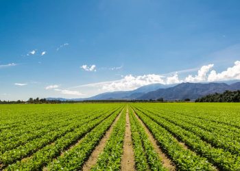 U.S. States With the Most Organic Farms