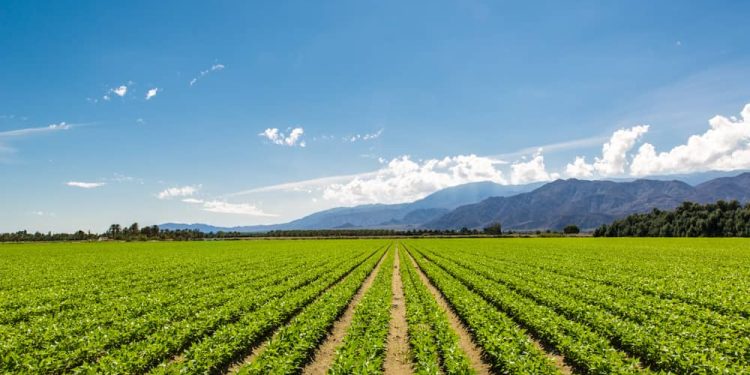 U.S. States With the Most Organic Farms