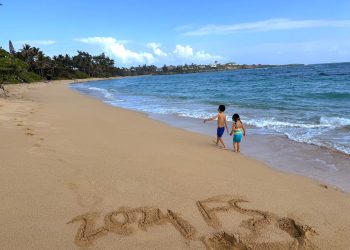 2024 Year In Review: A Year Of Transition And Luck