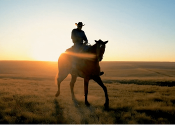 Google Cloud launches Veo AI video generator model on Vertex