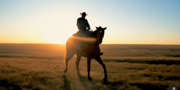 Google Cloud launches Veo AI video generator model on Vertex