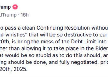 Trump says he wants the debt ceiling eliminated or extended