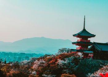 Japanese Society Uses Blockchain To Guard Dog Breeds