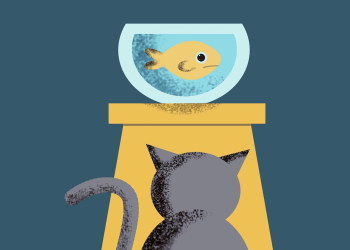 Earn Active Income For Wants, Use Passive Income For Needs