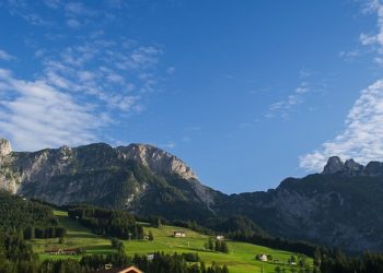 Pensions vs. 401(k)s: Understanding the Key Differences – FinanceBUM