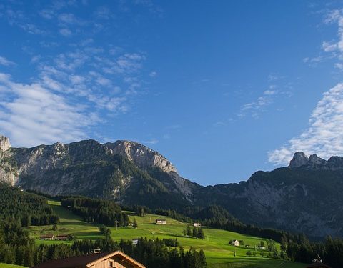 Pensions vs. 401(k)s: Understanding the Key Differences – FinanceBUM