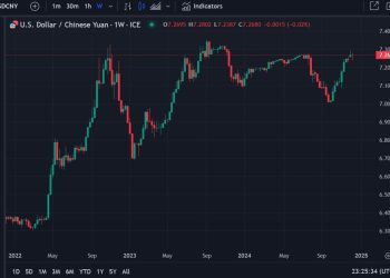Trump trade adviser Navarro warns on FX manipulation