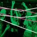 Who killed the rave? Late-night dancing falls into global decline