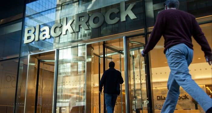 BlackRock has bought into private capital boom at a steep cost