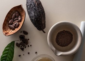 Food groups develop a taste for cocoa alternatives