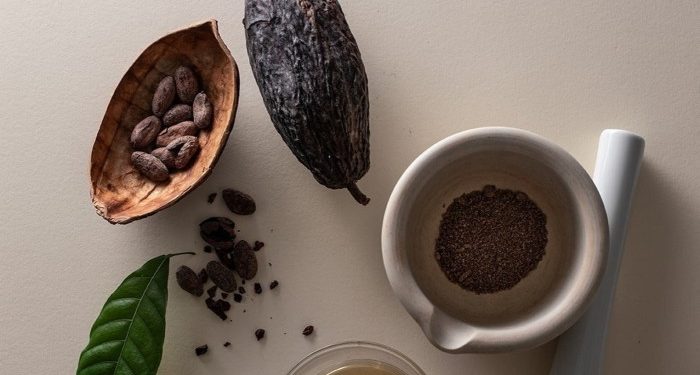 Food groups develop a taste for cocoa alternatives