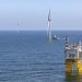 Shell signals no new offshore wind projects