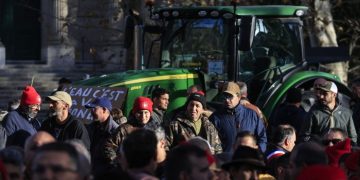 EU’s new agriculture chief seeks more funds for small farmers