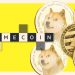 Year in a word: Memecoin