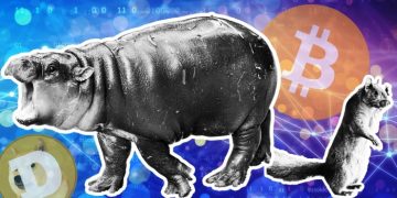 Squirrels, dogs and pygmy hippos: crypto’s multibillion-dollar ‘memecoin’ boom