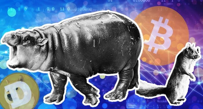 Squirrels, dogs and pygmy hippos: crypto’s multibillion-dollar ‘memecoin’ boom