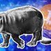 Squirrels, dogs and pygmy hippos: crypto’s multibillion-dollar ‘memecoin’ boom