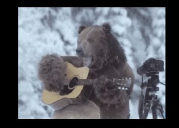 Albert Edwards’ favourite ‘bonkers-on-stilts’ chart of the year