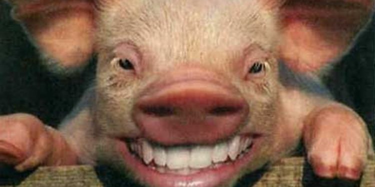 China's Inflation Data: November Trends and Projections