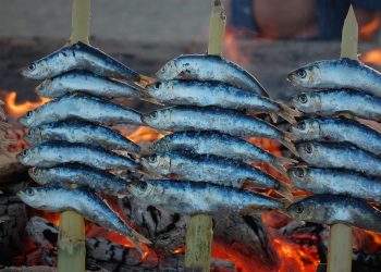 Got Downgraded To Economy Class And It Felt Fantastic!