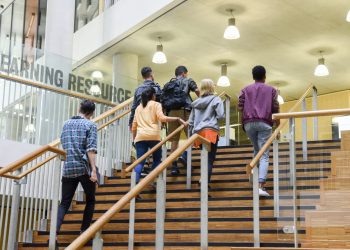 Freshmen college enrollment did not fall: research group cites error