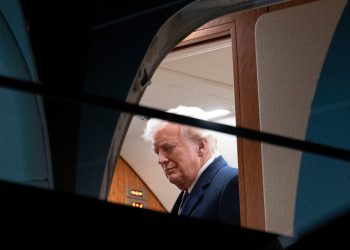 TikTok Starts Working Again After Trump Says He Will Stall a Ban