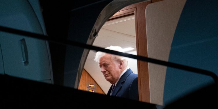 TikTok Starts Working Again After Trump Says He Will Stall a Ban