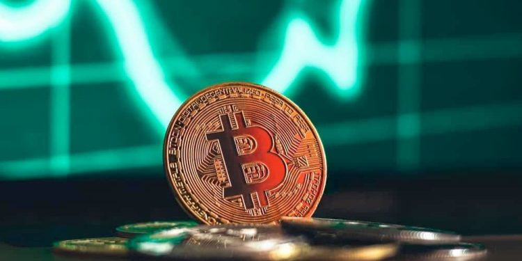 Analyst Reveal Bitcoin Key Support Levels Amidst Rebound Challenge
