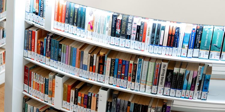 A Book App Used AI to ‘Roast’ Its Users. It Went Anti-Woke Instead