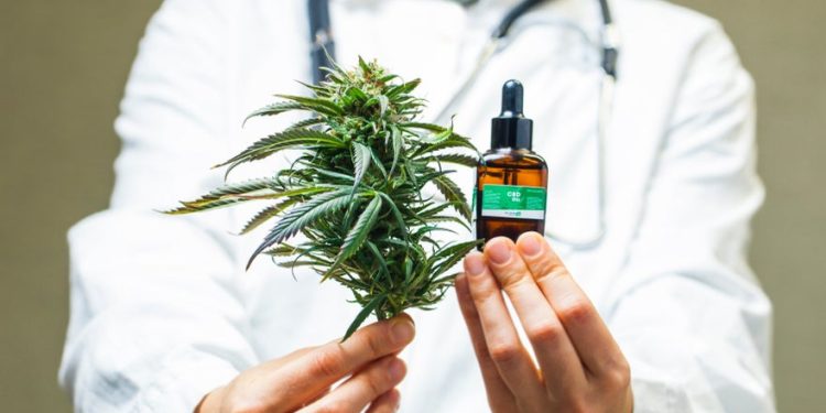 FDA Approves First Non-Opioid Pain Pill, As Medical Marijuana Remains A Proven Alternative For Relief – Vertex Pharmaceuticals (NASDAQ:VRTX)