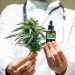 FDA Approves First Non-Opioid Pain Pill, As Medical Marijuana Remains A Proven Alternative For Relief – Vertex Pharmaceuticals (NASDAQ:VRTX)