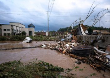 Three Months After a Generational Storm, Here’s How Asheville’s Market is Recovering