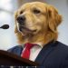 From Oath to $TRUMP: Inauguration Day Swears in a President & a Meme Coin Market Frenzy!