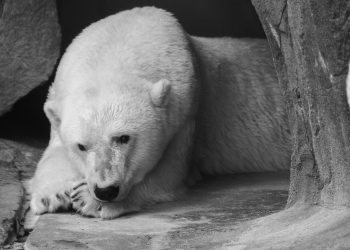 Rejection At $100k Increases Likelihood Of A Breakdown