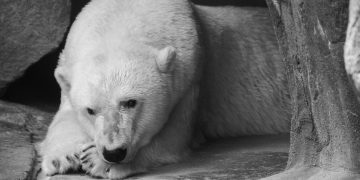 Rejection At $100k Increases Likelihood Of A Breakdown