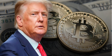 Bitwise CEO Anticipates Merger Boom