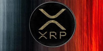 Ripple CTO Spills The Beans