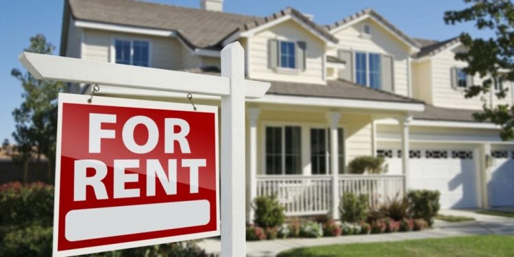 A Resilient Rental Market Shows Positive Signs For Next Year
