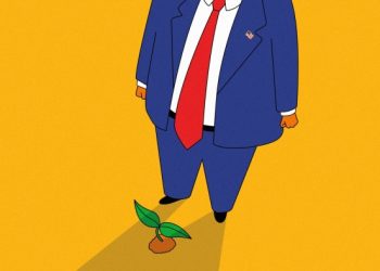 Can sustainable investing survive Trump 2.0?