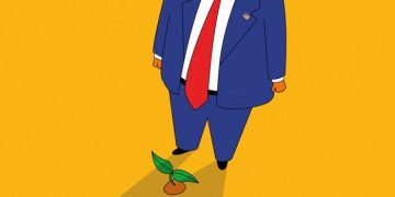 Can sustainable investing survive Trump 2.0?