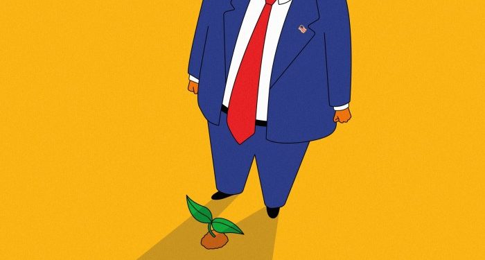 Can sustainable investing survive Trump 2.0?