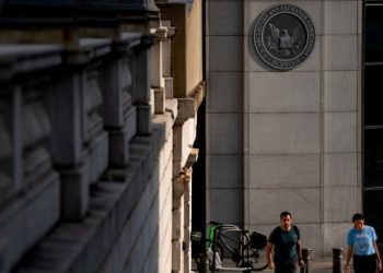 Accounting firms try to block new US disclosure rules about auditors
