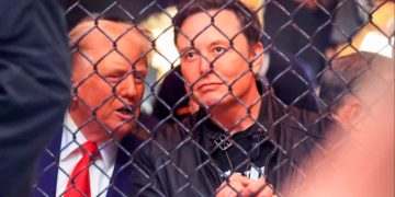 China discussing using Elon Musk as broker in TikTok deal