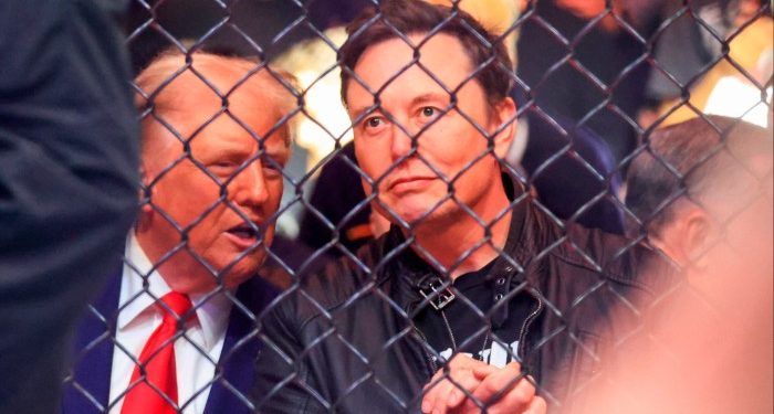 China discussing using Elon Musk as broker in TikTok deal