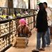 Is US inflation set to rise further?