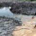 Nigeria’s delta drilling plan sparks fury