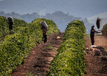 The rising cost of a caffeine fix