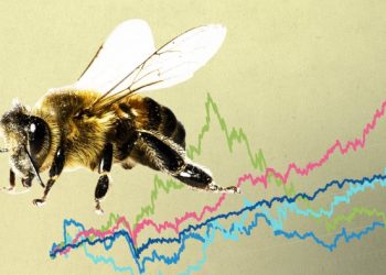 On the hunt for the UK’s ‘worker bee’ stocks