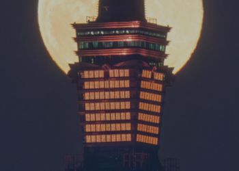 How Supply Demand EA ProBot Turned 7 Trades into $1,000! (15/1/2025) – Analytics & Forecasts – 15 January 2025