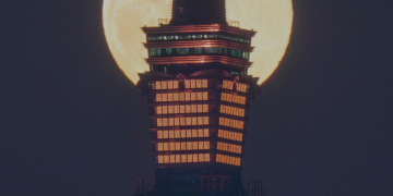 How Supply Demand EA ProBot Turned 7 Trades into $1,000! (15/1/2025) – Analytics & Forecasts – 15 January 2025